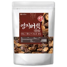 건강중심 국산 영지버섯 절단, 1개, 500