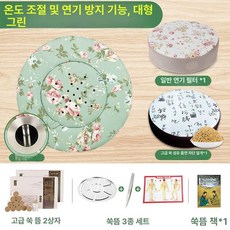 올원픽 쑥좌훈기 건식 온열 훈증기 좌훈기 가정용, 그린 대형 이중필터 108개 쑥책 4종세트, 1개, 기본 색상