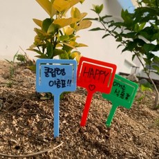 식물 라벨 5개입 꽃이름표