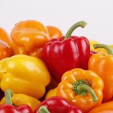 [산지직송/국내산] 아삭아삭 싱싱한 파프리카 밭에서 갓 따온 아삭함, 1개, 파프리카:1kg