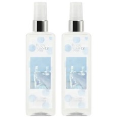바디판타지 바디미스트 향수 히즈 클린 런더리 X2개, 2개, 118ml