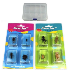 고품질곤충벌레표본 8종 곤충관찰 과학 실험 자연과학 교구, 상세 설명 참조