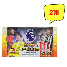 파니니 2024 EPL 플러스 축구카드, 2개