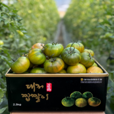 [당일새벽수확] 대저 정품 짭짤이 토마토, 1개, 1kg 못난이(혼합과)