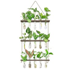 XXXFLOWER Wall-Mounted Propagation Station with Wooden Stand 5 Glass Test Tubes 3-Tier Planter W, XXXFLOWER Wall-Mounted Propaga