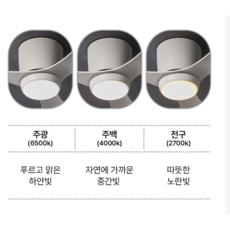 107cm 42인치 17cm 초슬림 저소음 BLDC 6단조절 천장 실링팬 리모컨 삼색변환 LED키트 별도, 포커스 루엔 실링팬용 삼색변환 LED 킷