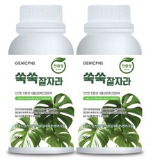 식물영양제 관엽식물 화초 생육활성성분 아미노산 폴리인산 제닉피앤에스 친환경 고농축 화초영양제 쑥쑥잘자라, 2개, 500ml