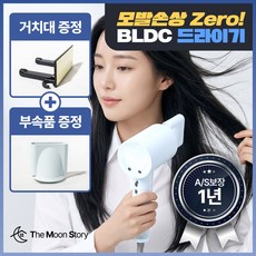 더문 헤어 드라이기 항공모터 음이온 여행용 전문가용 BLDC 미용실드라이어, 스카이블루, 더문헤어샷마스터