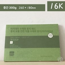 용지 전문가용 아티스트 바오홍 중목 종이 세트 300g 수채화, 학원 16k 중간 거칠기 18x26, 1개