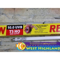 【西高地水族坊】ZOO MED 爬蟲UVB 10.0高輸出燈管T5 24w(55cm)，模擬太陽光，促進鈣質吸收，適用於多種爬蟲, 1個