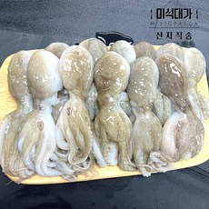 선동 급냉 냉동 쭈꾸미, 4개, 1kg(9-18미)