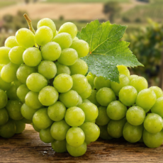 당도측정기 수치 폭발하는 프리미엄 샤인머스켓, 1박스, 1.5kg (3수)