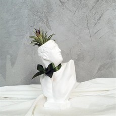 투우사 석고상화분 틸란드시아 론레어+모스+리본, 대만 여인