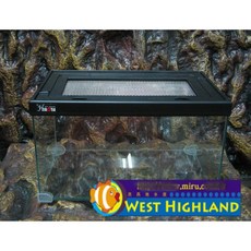 【西高地水族坊】台灣製堆疊式長方形寵物箱 爬蟲箱 爬蟲缸 36cm*21cm*21cm, 1個, Black