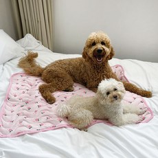 강아지 고양이 바디 소프트 여름 쿨방석 (패드형), 복숭아, 2개