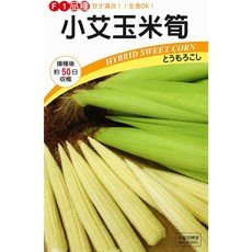 【野菜部屋~】N11 小艾玉米筍種子 hybrid sweet corn 播種後約50日可收穫, 1包