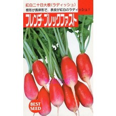紅白長型小蘿蔔種子 法國早餐蘿蔔, 1包