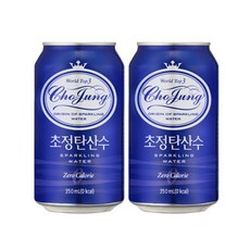 초정탄산수 플레인 350ml 24캔, 24개