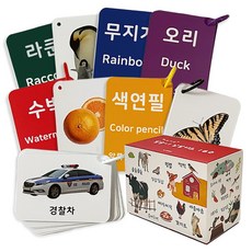 말놀이 실사 낱말카드 160장 한글/영어/의성어/의태어, 혼합색상, 1개