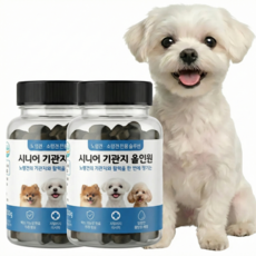 노령견용 강아지 기관지 종합 영양제, 100g, 2개, 호흡기/기관지