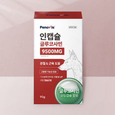 페노비스 인캡슐 강아지 영양제, 90g, 뼈/관절강화, 1세트