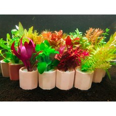 [수초킹] 키우기 쉬운 포트수초 랜덤 구피 새우 어항 꾸미기, 3개