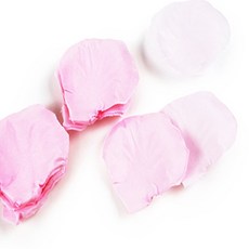 아리포유 꽃잎조화 종이꽃가루, 연핑크