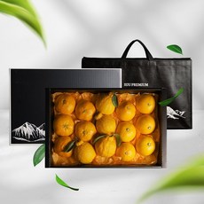 bns (명절세트) 레드향+천혜향+한라봉 5kg 중과, 단품