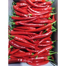 홍고추 국내산 빨간고추 햇고추, 500g, 1개