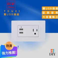 TAISHIBA 台芝 TGU21 雙USB接地插座 大容量輸出 簡易安裝 現貨供應, 1個