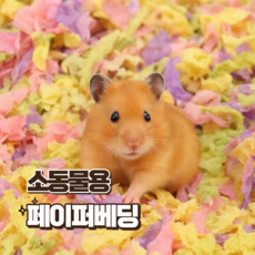 햄스터 컬러 종이베딩 리틀띵즈 페이퍼 믹스 피그미다람쥐 슈가글라이더 플로랄가든, 450g, 1개