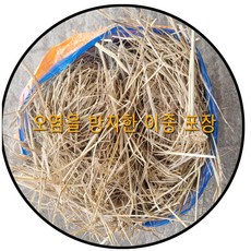 볏짚 1.5kg 지푸라기 반겨동물 길고양이 강아지집 보온재, 1개