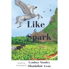 Like a Spark Paperback, Stonecreek Publishing House, English, 9781777503215