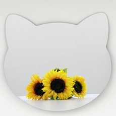 일상도구 벽에 붙이는 아크릴 안전 벽 거울, 고양이