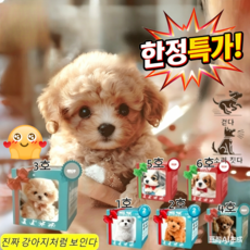 (한정특가!) 로봇 강아지 뽀글이 장난감 인공지능 로봇 강아지 ai 로봇 인공 지능 강아지, 3-베이지, 컬러 박스