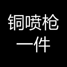 銅噴槍 高壓沖洗器 婦洗器 廁所衛生間增壓水槍, 1個, 銅噴槍一件,【免打孔安裝】多款套餐可選