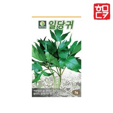 다농 일당귀 씨앗 3g, 1개