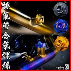 叫小賀 HUATAI 鈦合金含氧螺絲 M12 M18 含氧感知器螺絲 砲管螺絲 黃蜂 亞杰 章魚 刺蝟 motor, 騷包紫,M18, 1個