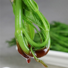[새벽수확당일발송] 특급보양식 맛보면단골 가시없는 여름두릅, 1박스, 1kg
