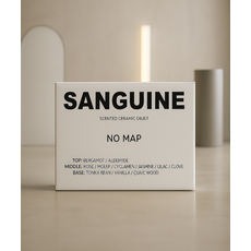 SANGUINE 차량용 디퓨저 리필 테라코타, After Hours