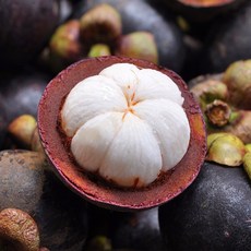 과일의 여왕 생 망고스틴 태국 직송 프리미엄, 1개, 500g