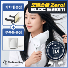 더문 헤어 드라이기 항공모터 음이온 여행용 전문가용 BLDC 미용실드라이어, 화이트, 더문헤어샷마스터