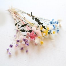 THEVOM 스타플라워&허니테일미니다발, 핑크