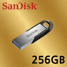 샌디스크 Ultra Flair CZ73 Z73 3.0 USB, 256GB, 1개