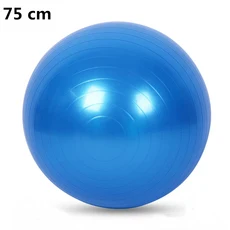 피트니스 스포츠 요가 공 볼라 필라테스 체육관 균형 운동 홈 트레이닝 마사지 Fitball 장비, 09=Blue75cm, 14 Blue75cm