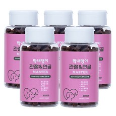 강아지 관절영양제 고함량 슬개골 탈구 예방 콘드로이친 막내댕이 관절&연골 마스터 100g, 5개, 뼈/관절강화, 99정