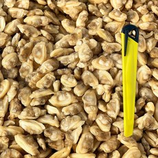 대용량 바지락살 10kg 자숙 손질 냉동바지락, 1개