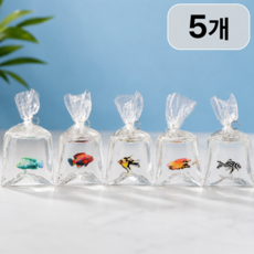 컬러풀 물고기 레진 감성 굿즈, 1세트, 5종