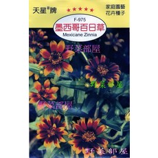 天星牌墨西哥百日草種子 (Mexicane Zinnia) - 野菜部屋 Y77 穗耕種苗, 1包