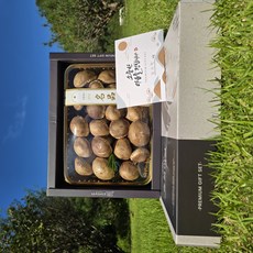 국내산 송화버섯 선물세트, 1세트, 1kg
